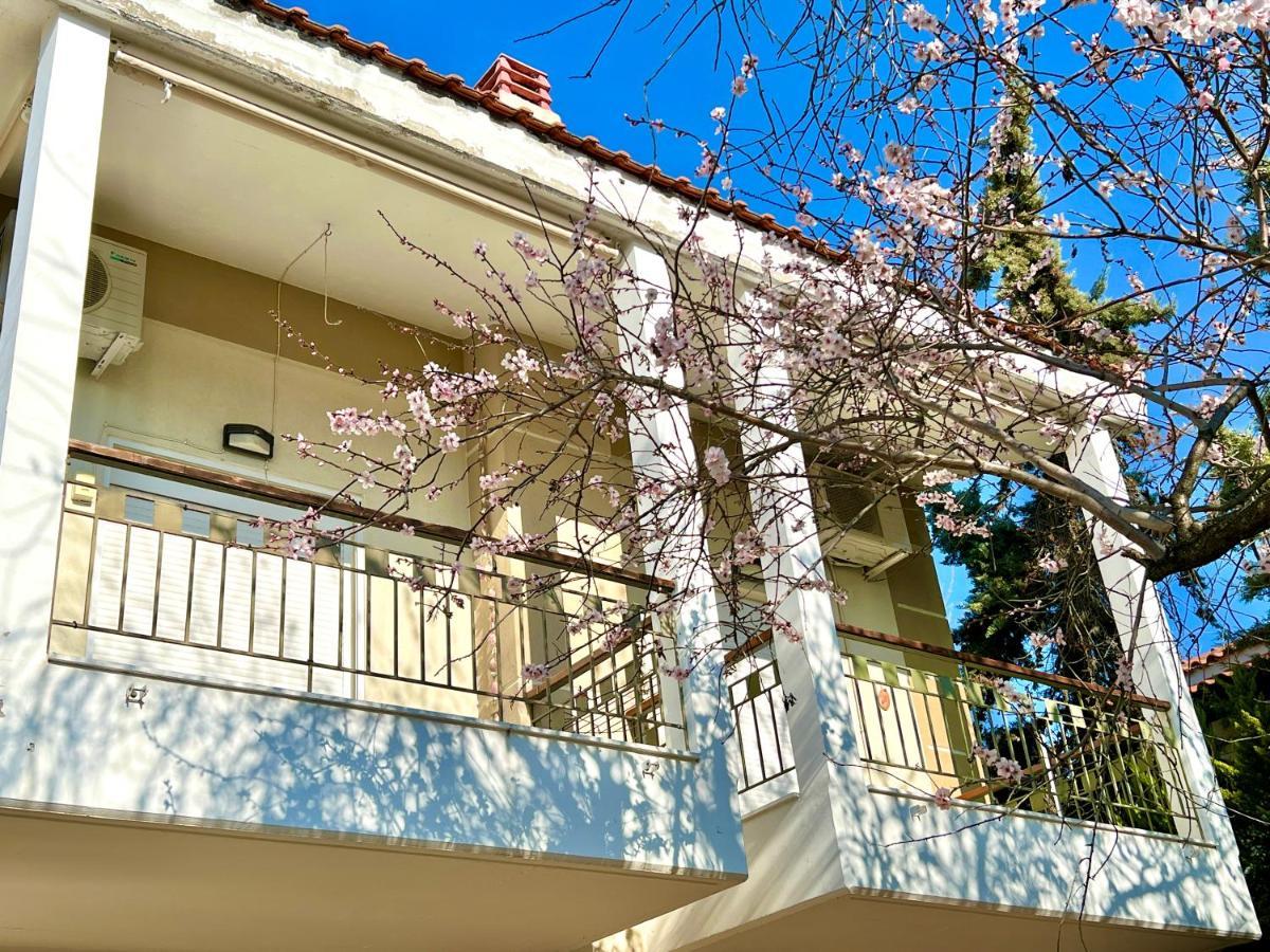 Nikiti Beach Houses Zewnętrze zdjęcie